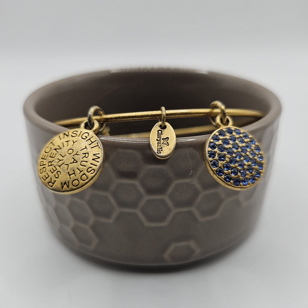 Chrysalis charm bracelet.